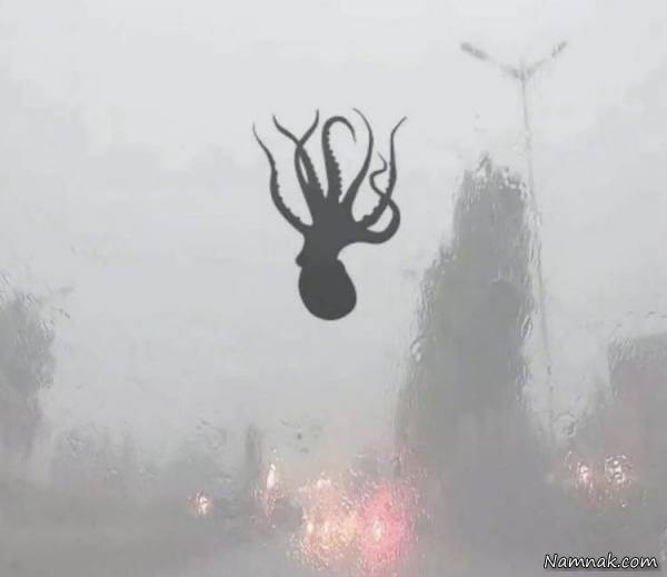 موجودات دریایی عجیب