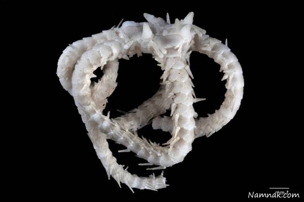 مار ماهی دریایی ماهی دریایی