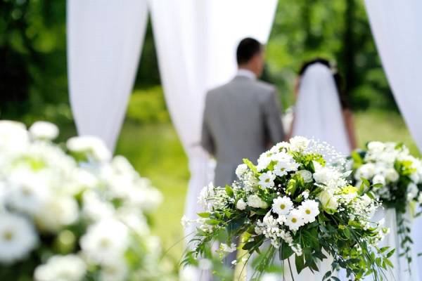 گل فروشی شیراز، آتلیه شیراز، سالن زیبایی شیراز