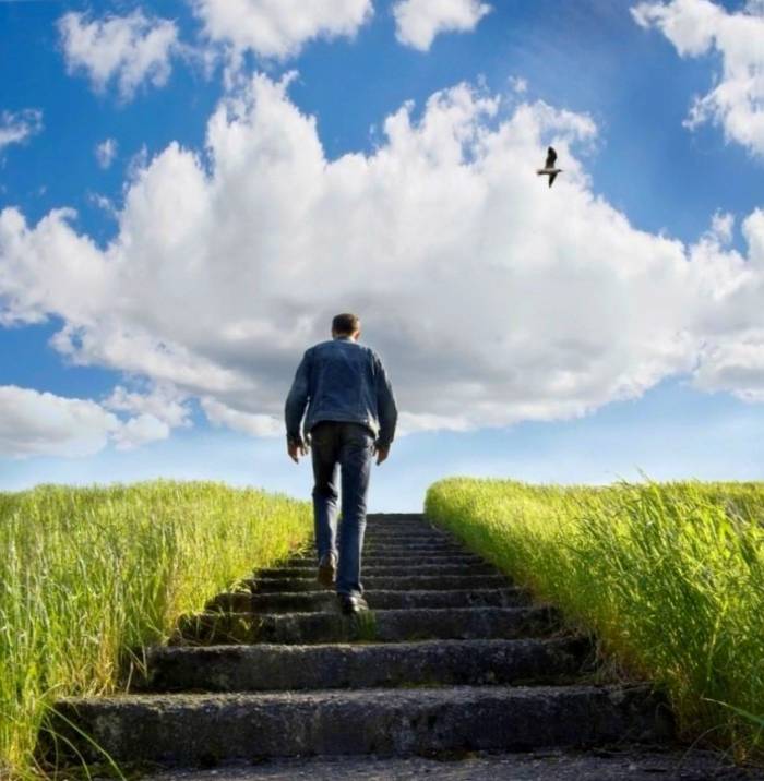 چگونگی استعدادیابی