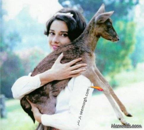 آهوی خانگی آدری هپبورن آدری هپبورن