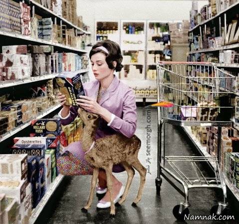 آدری هپبورن و حیوان خانگی اش آدری هپبورن