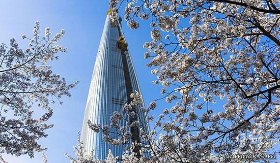 بلندترین ساختمان
