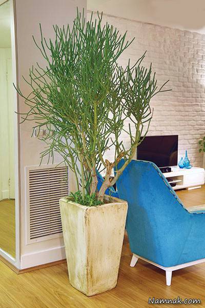 دکوراسیون منزل