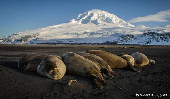 مکان های دیدنی