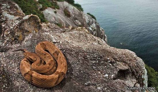 مکان های دیدنی