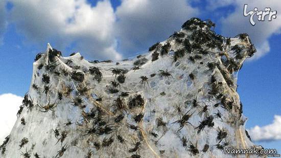 رخدادهای طبیعی 