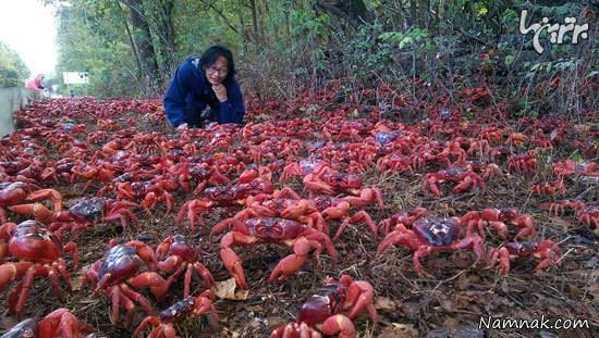 رخدادهای طبیعی 