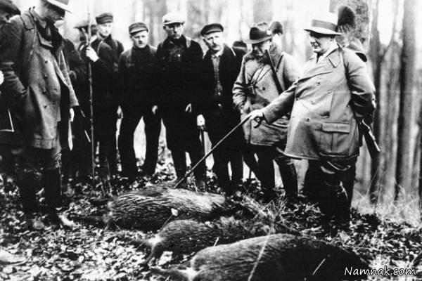 گاوهای ژرمن 