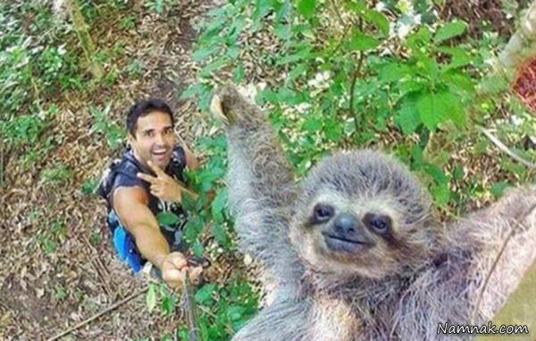 جالب ترین سلفی