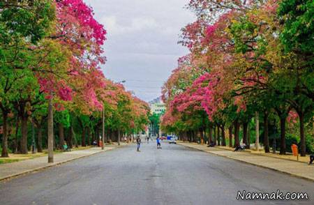 ریودوژانیرو