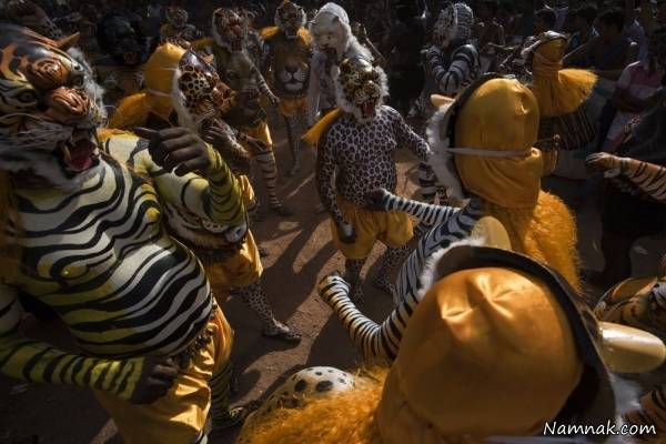 رژه ببرها در هند رژه ببرها