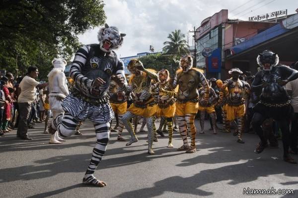 مراسم رژه ی آدم های ببری در هند رژه ببرها