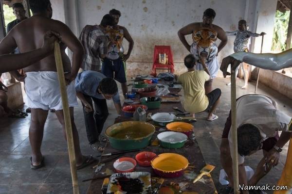 مراسم فولکلور در ایالت سند رژه ببرها