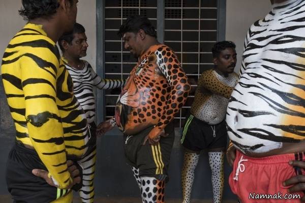 آماده شدن برای رژه ببرها رژه ببرها