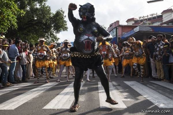 تصاویری از رژه ببرها در هند رژه ببرها