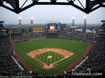 پیرمرد وفادار