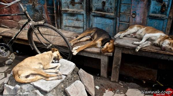 کودکان بی سرپرست