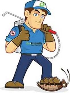 سمپاشی سوسک