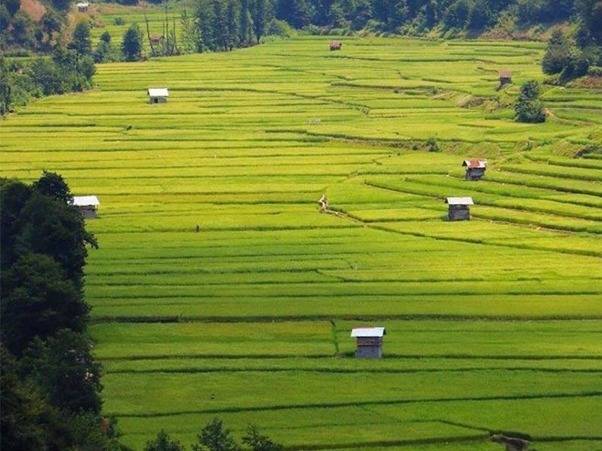 ویلا در شمال