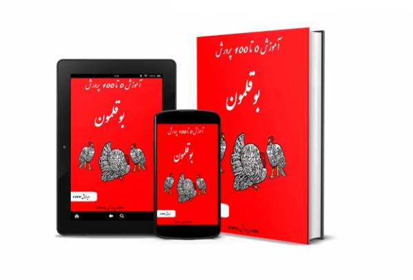 آموزش پرورش بوقلمون