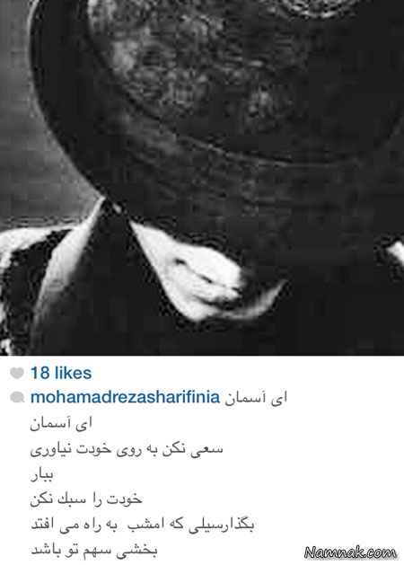 مرتضی پاشایی