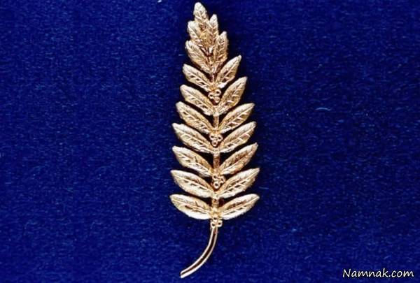 سنجاق سینه در ماه