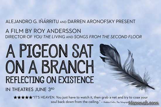 کبوتری روی شاخه ای نشست و به هستی فکر کرد