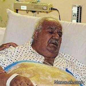 ناصر ملک مطیعی