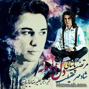 مرتضی پاشایی