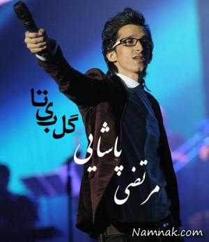 مرتضی پاشایی