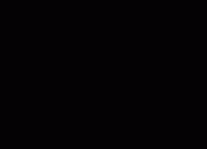 فیلم سریع و خشن
