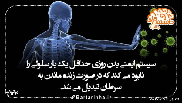 دانستنی های علمی تصویری دانستنی های علمی تصویری