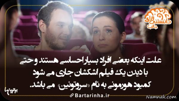 دانستنیها دانستنیها