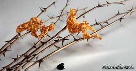 رستوران Mugaritz سن سباسشن اسپانیا رستوران Mugaritz سن سباسشن اسپانیا