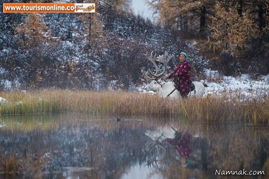 خانواده مغولی