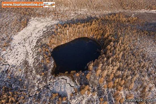 خانواده مغولی