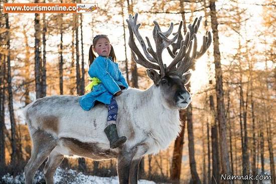 خانواده مغولی
