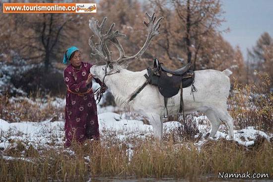خانواده مغولی