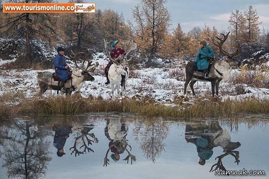خانواده مغولی