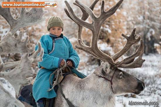 خانواده مغولی