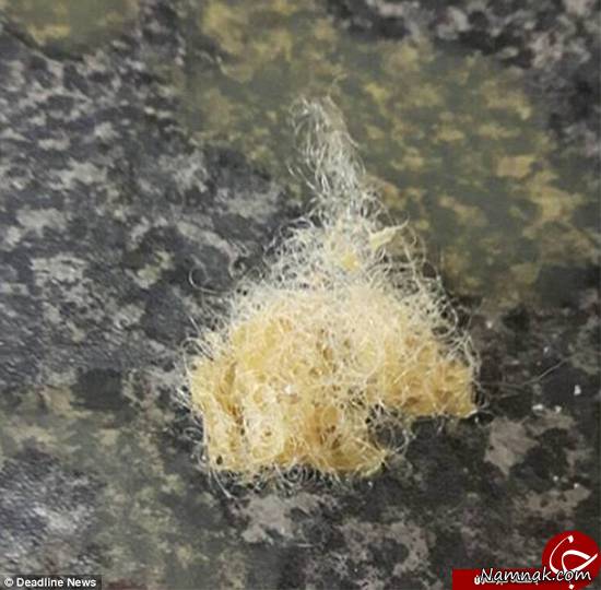 شیر توده مو