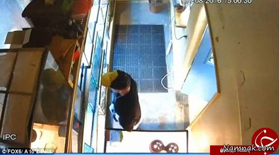 ماری که در شلوار یک دزد پنهان شد! + تصاویر مار