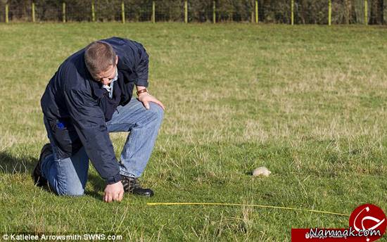 رکورد پرتاب پودینگ رکورد پرتاب پودینگ