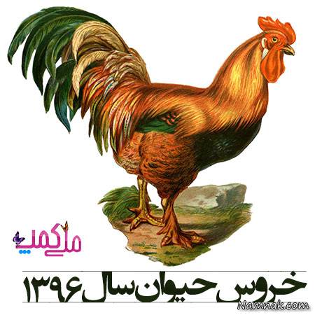 سال خروس