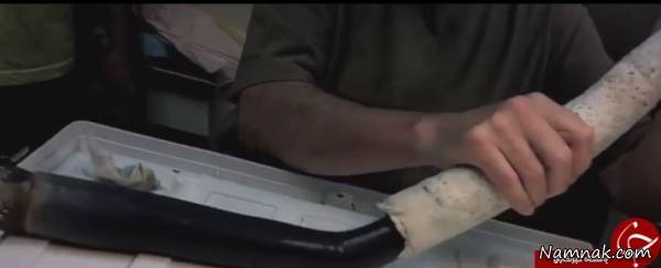 عجیب کرم غول پیکر