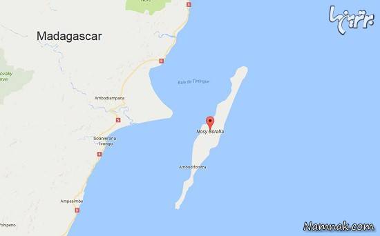 دزدان دریایی