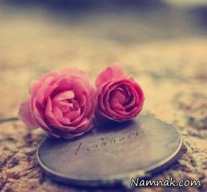 اس ام اس فلسفی
