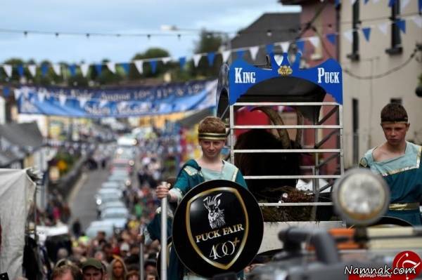 بز وحشی بز وحشی