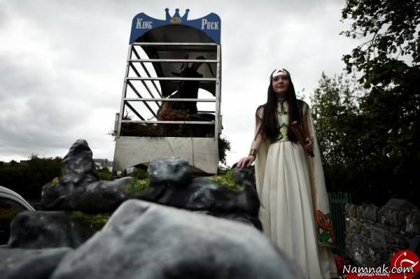 ایرلند بز وحشی